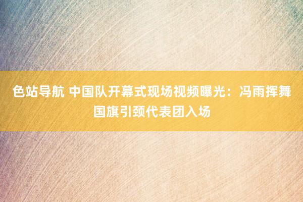 色站导航 中国队开幕式现场视频曝光：冯雨挥舞国旗引颈代表团入场