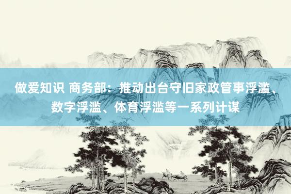 做爱知识 商务部：推动出台守旧家政管事浮滥、数字浮滥、体育浮滥等一系列计谋