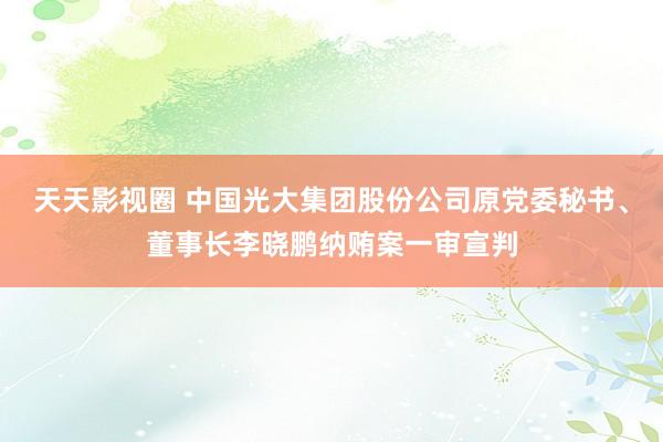 天天影视圈 中国光大集团股份公司原党委秘书、董事长李晓鹏纳贿案一审宣判
