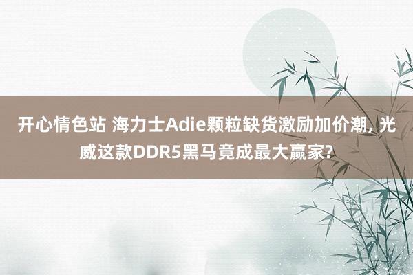 开心情色站 海力士Adie颗粒缺货激励加价潮， 光威这款DDR5黑马竟成最大赢家?