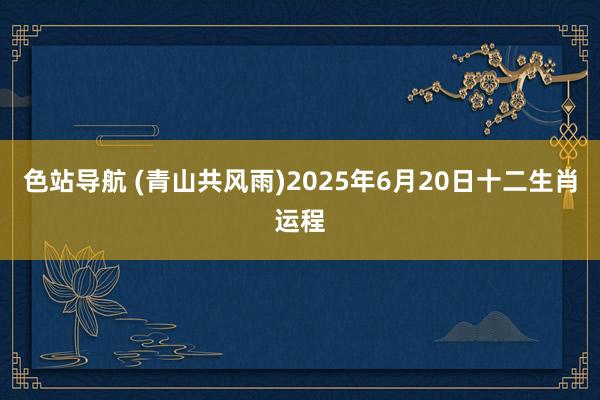 色站导航 (青山共风雨)2025年6月20日十二生肖运程