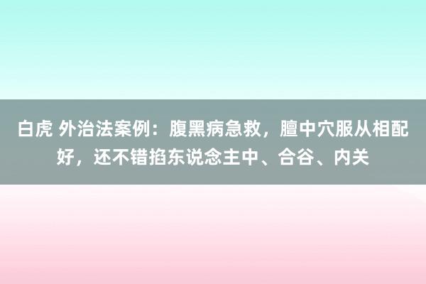 白虎 外治法案例：腹黑病急救，膻中穴服从相配好，还不错掐东说念主中、合谷、内关