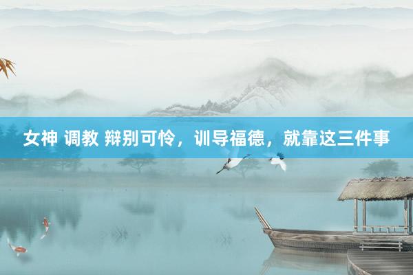 女神 调教 辩别可怜，训导福德，就靠这三件事