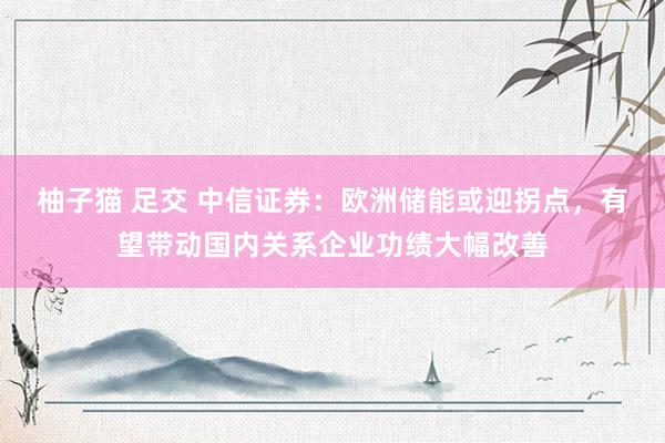 柚子猫 足交 中信证券：欧洲储能或迎拐点，有望带动国内关系企业功绩大幅改善